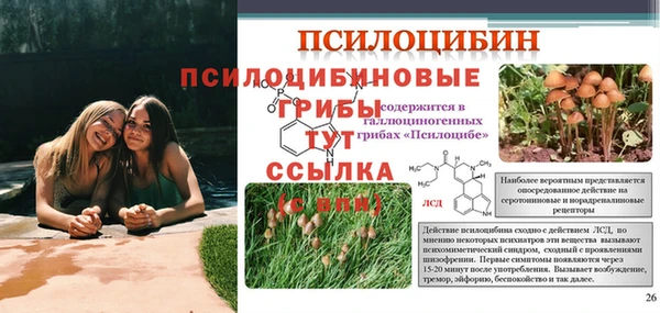 спиды Семикаракорск