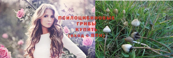 кокс Беломорск